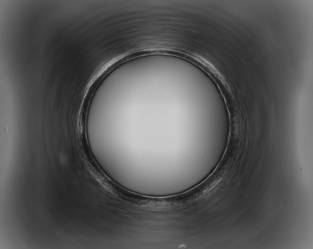 X0000083530885200703021549