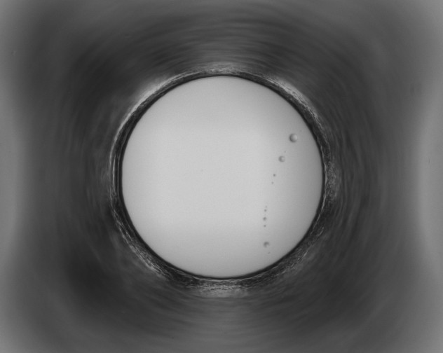 X0000083530886200703021549