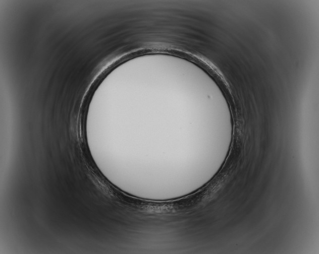 X0000083530887200703021549