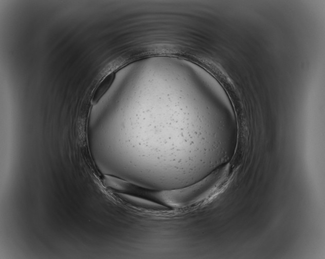 X0000083530889200703021549