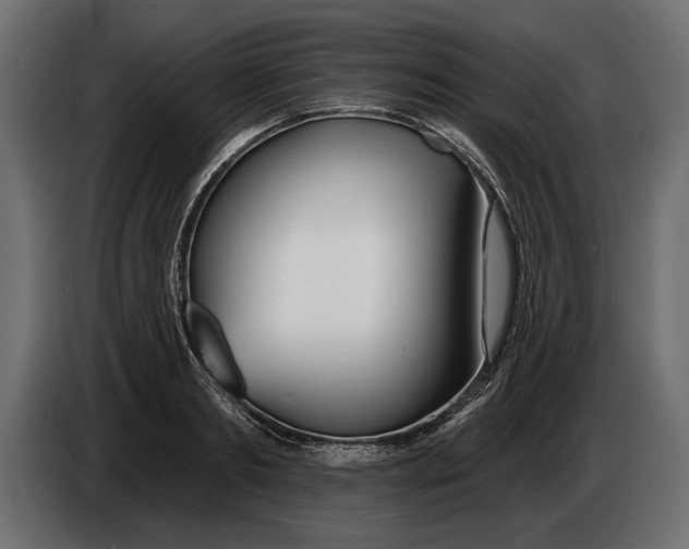 X0000083530893200703021549