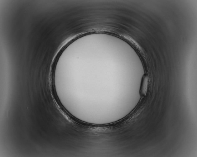 X0000083530894200703021549