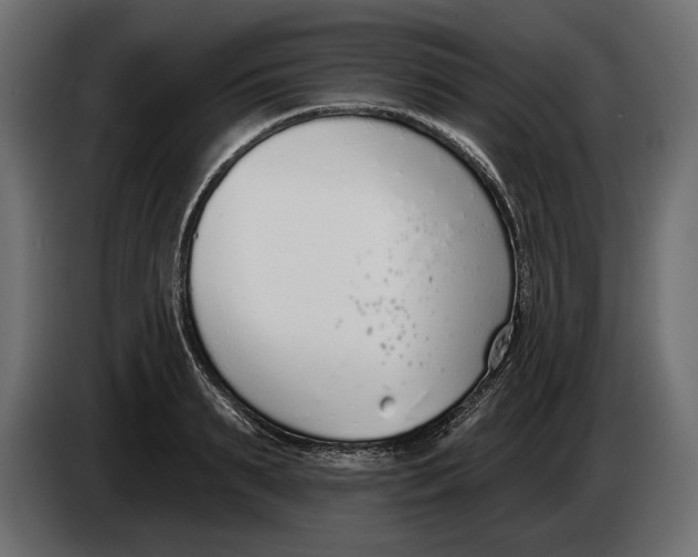 X0000083530895200703021549