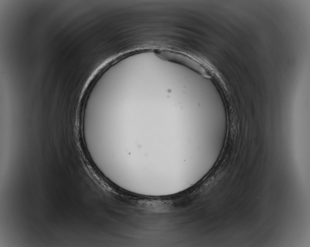 X0000083530896200703021549