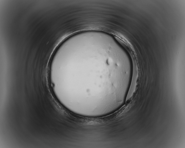 X0000083530899200703021549