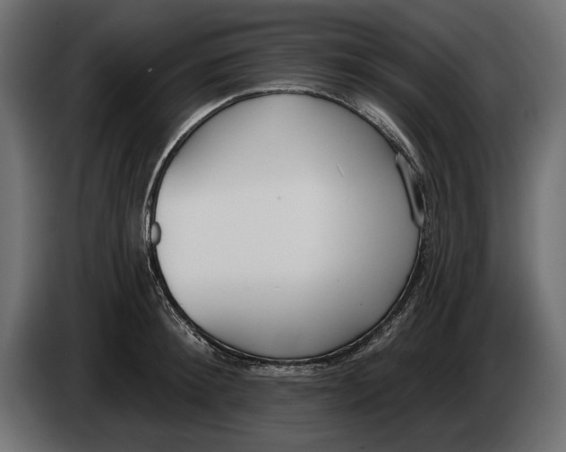 X0000083530900200703021549