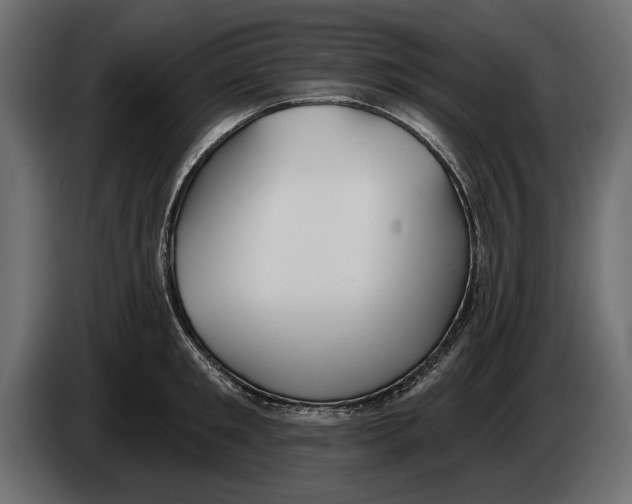 X0000083530901200703021549