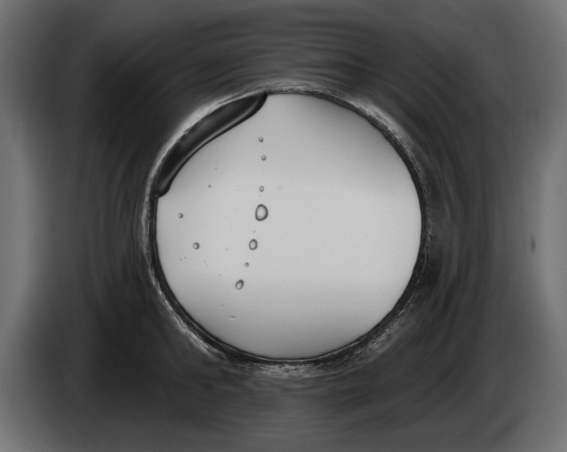 X0000083530902200703021549