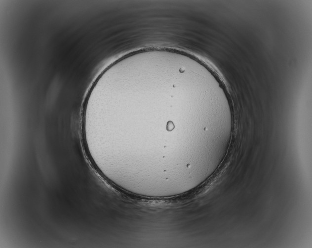 X0000083530903200703021549