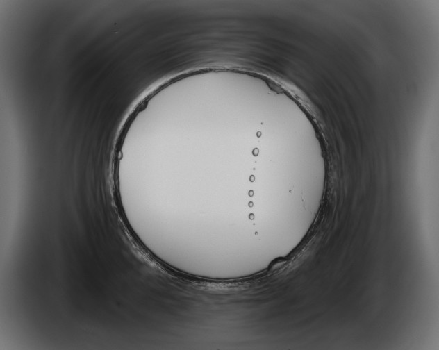 X0000083530904200703021549