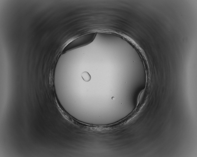 X0000083530905200703021549