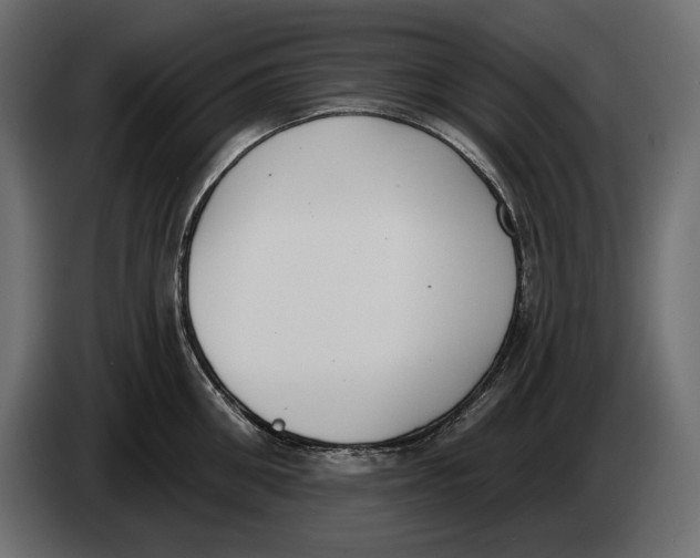 X0000083530906200703021549