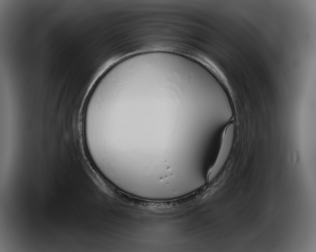 X0000083530907200703021549