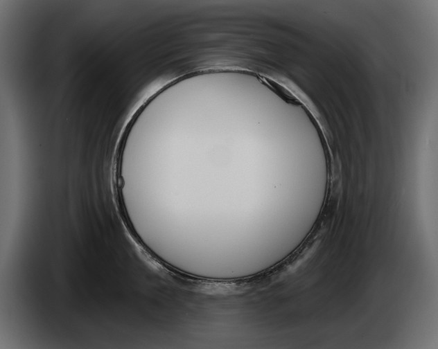 X0000083530909200703021549