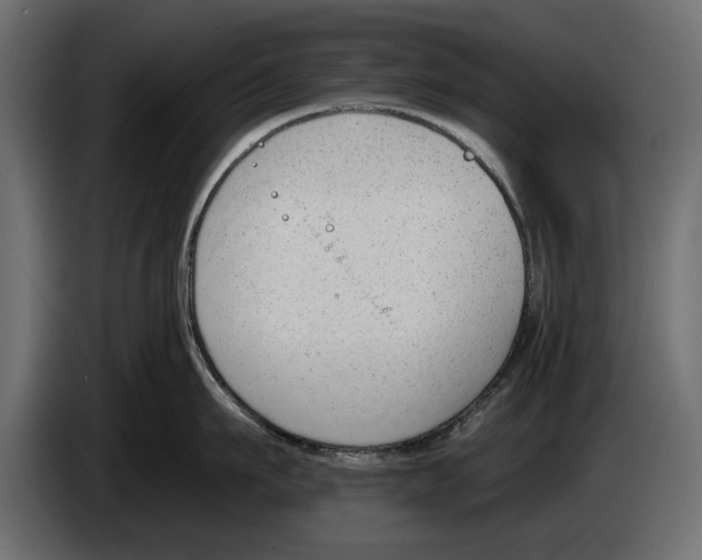 X0000083530911200703021549