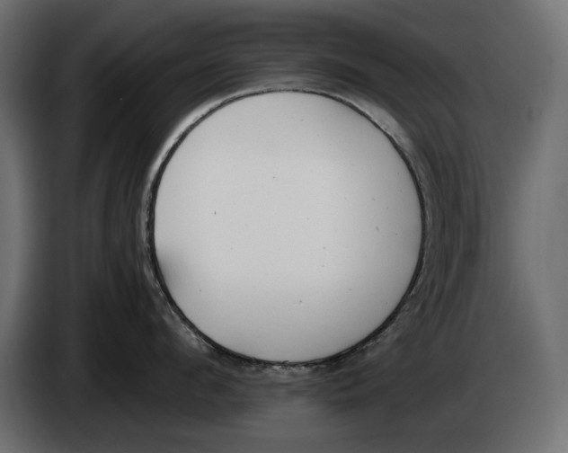 X0000083530912200703021549