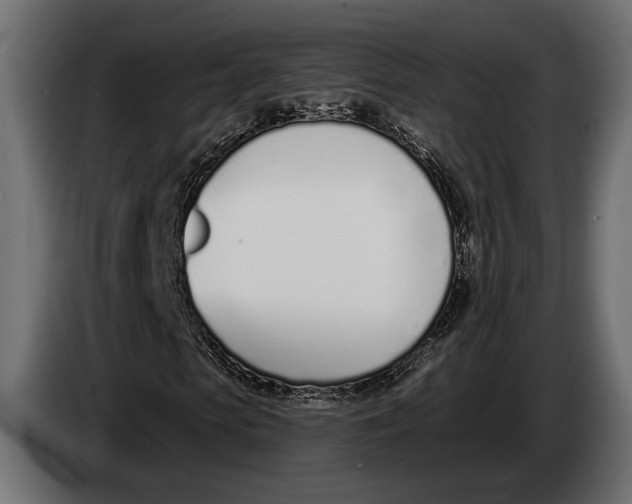 X0000083530913200703021548