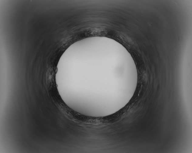 X0000083530914200703021548