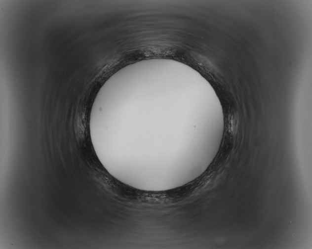 X0000083530915200703021548