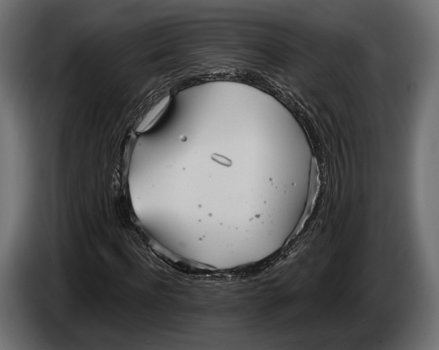 X0000083530916200703021548