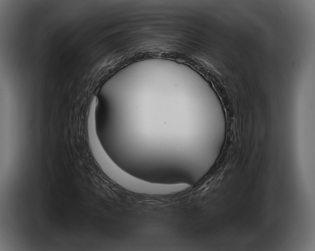 X0000083530917200703021548