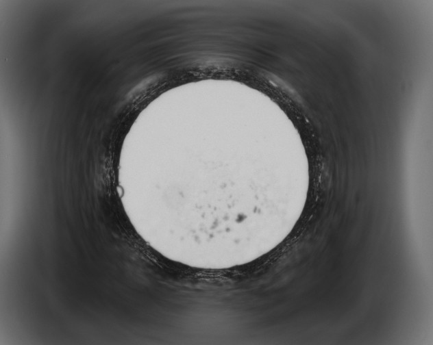 X0000083530918200703021548