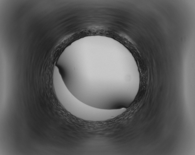 X0000083530919200703021548