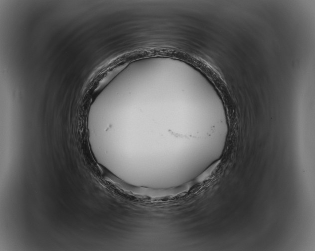 X0000083530920200703021548