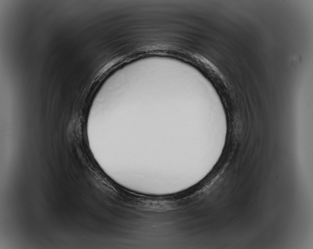 X0000083530921200703021548