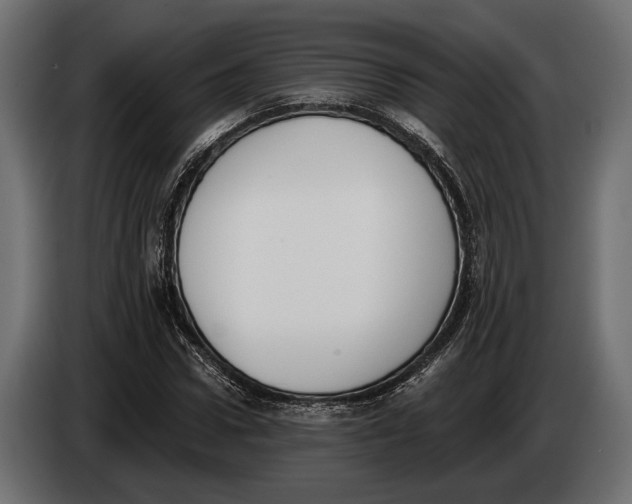 X0000083530922200703021548