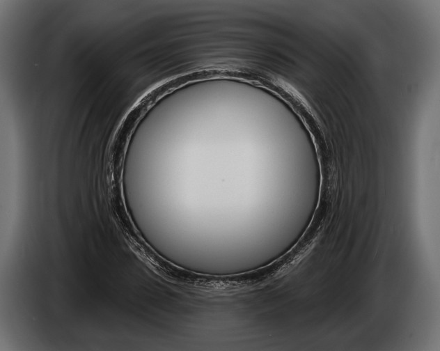 X0000083530923200703021548