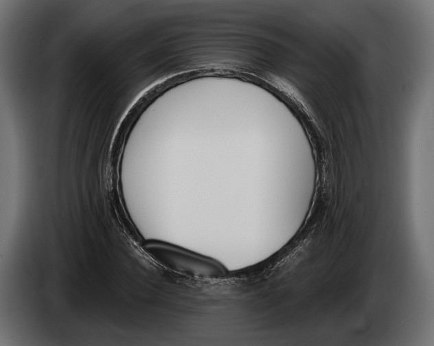 X0000083530924200703021548