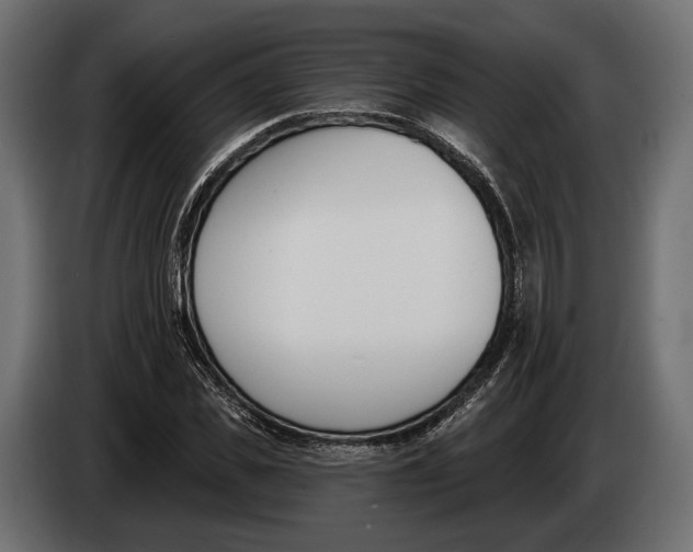 X0000083530925200703021548