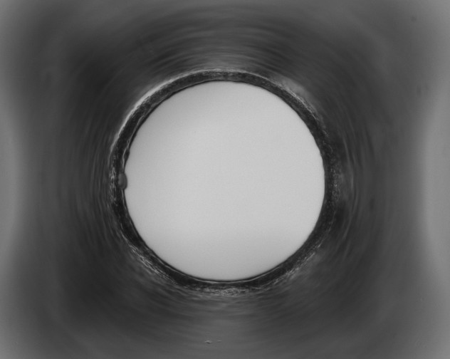 X0000083530926200703021548