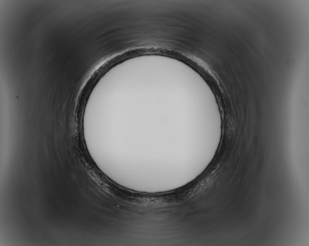 X0000083530927200703021548