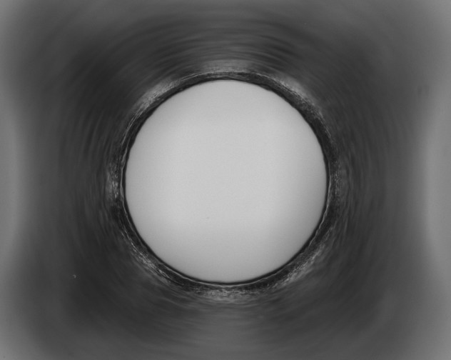 X0000083530929200703021548