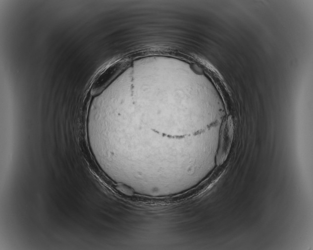 X0000083530930200703021548