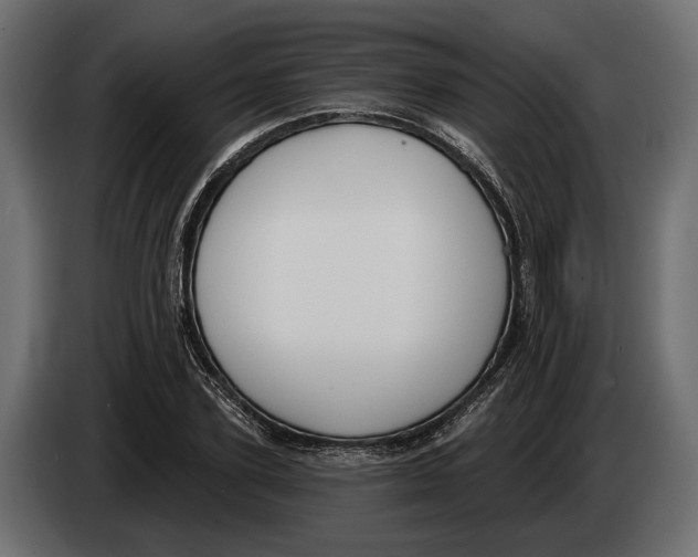 X0000083530931200703021548