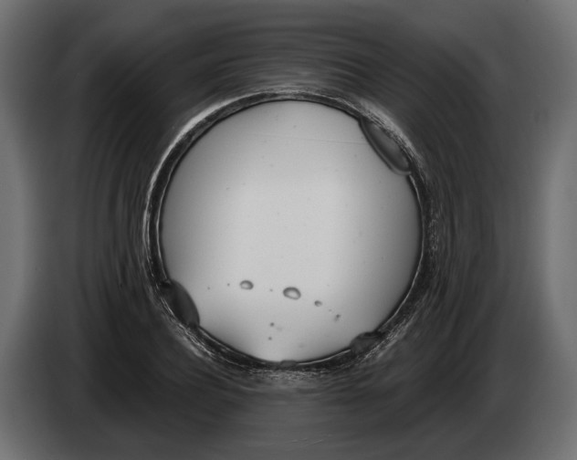 X0000083530932200703021548