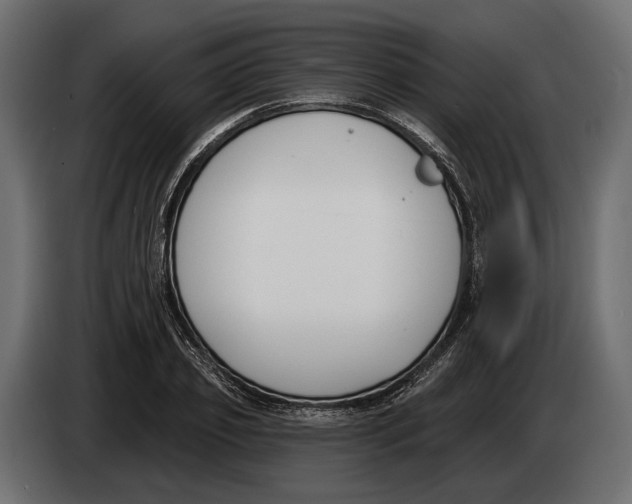 X0000083530933200703021548