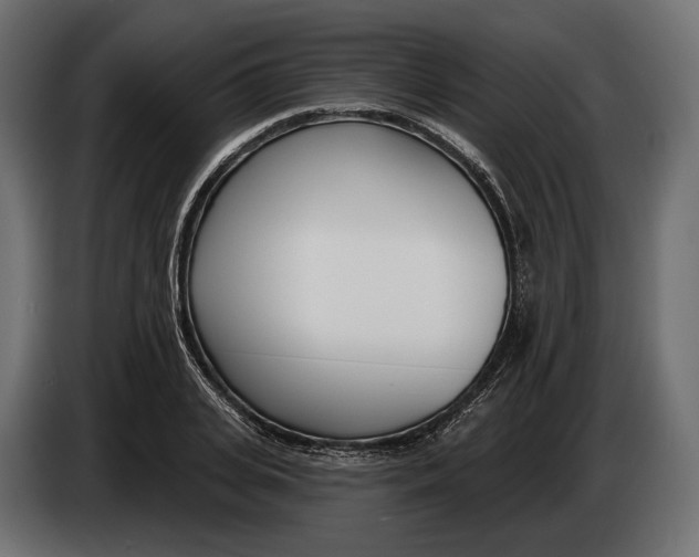 X0000083530935200703021548