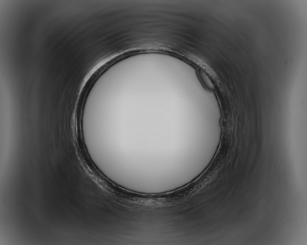 X0000083530936200703021548