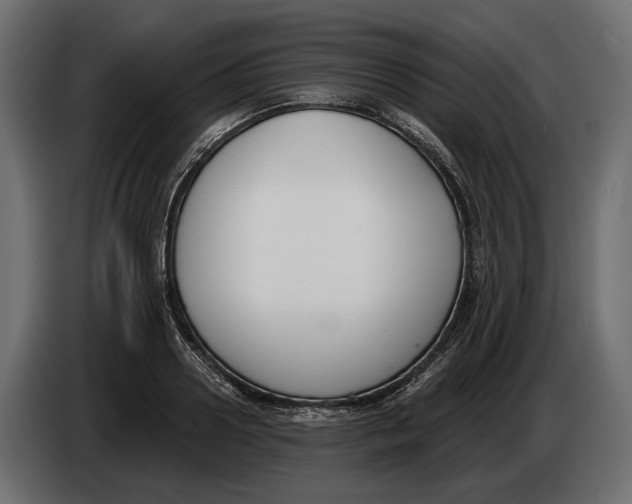 X0000083530938200703021548