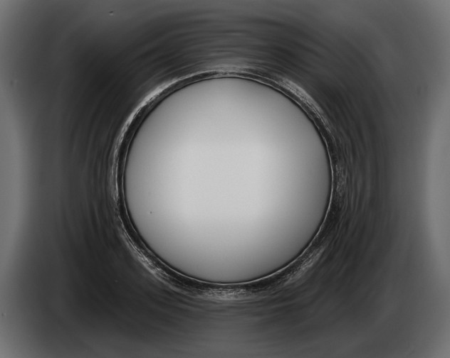 X0000083530939200703021548