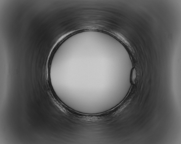 X0000083530940200703021548