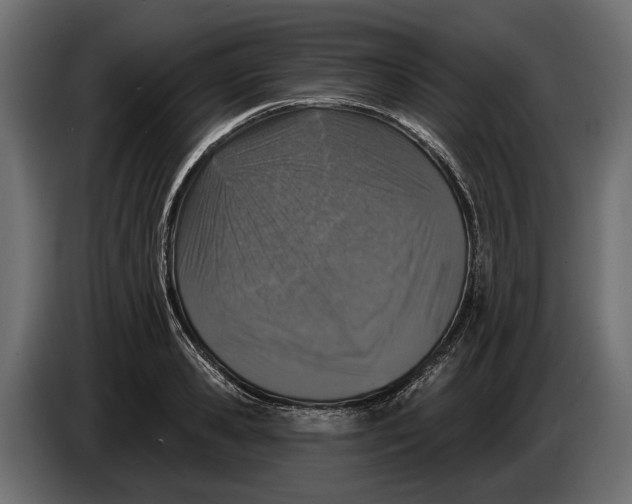 X0000083530941200703021548