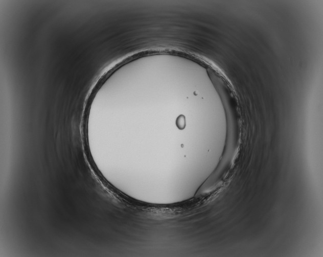 X0000083530943200703021548