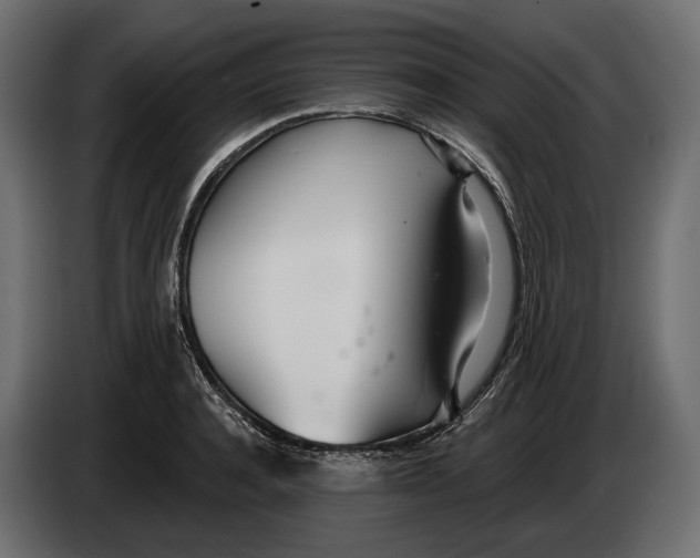 X0000083530944200703021548