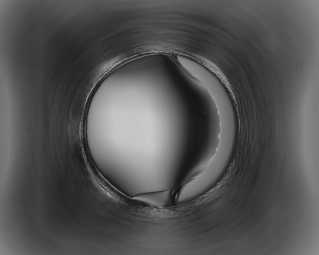 X0000083530946200703021548