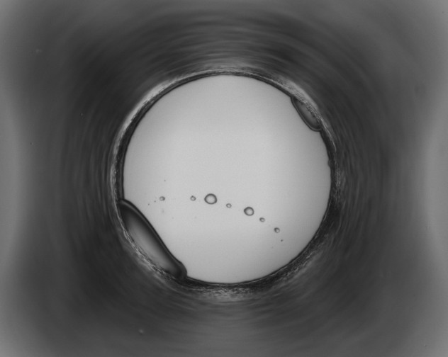 X0000083530947200703021548